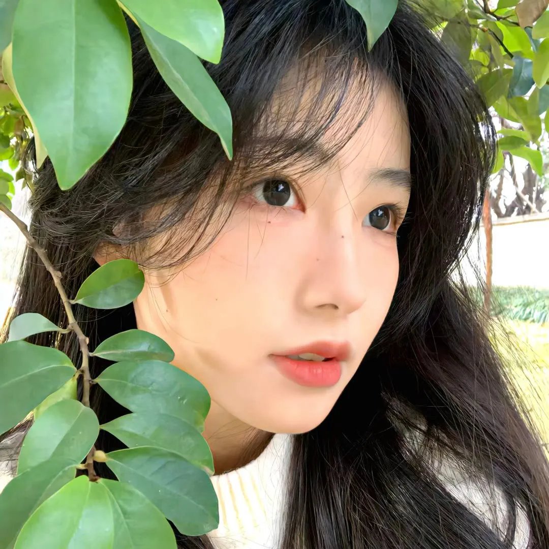单恋美食家日记